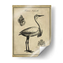 Egret Anticuario - Vision Studio | Cuadro decorativo de Canvas Lab