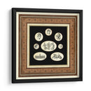 Camafeos Clásicos I - Vision Studio | Cuadro decorativo de Canvas Lab
