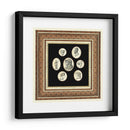 Camafeos Clásicos Ii - Vision Studio | Cuadro decorativo de Canvas Lab