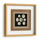 Camafeos Clásicos Ii - Vision Studio | Cuadro decorativo de Canvas Lab