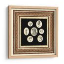 Camafeos Clásicos Ii - Vision Studio | Cuadro decorativo de Canvas Lab