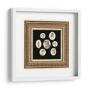 Camafeos Clásicos Ii - Vision Studio | Cuadro decorativo de Canvas Lab