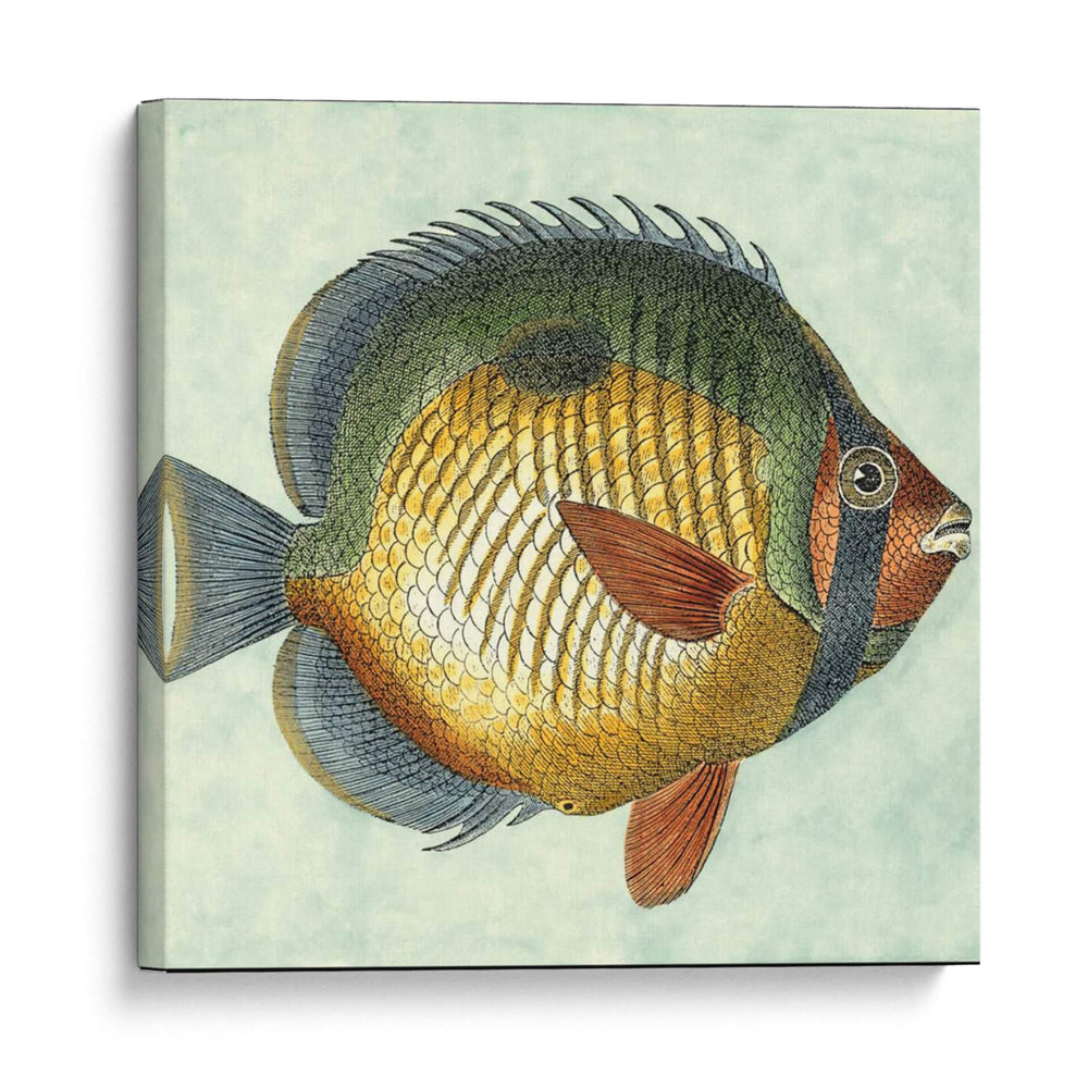 Pequeño Pescado De Mariposa I - Vision Studio | Cuadro decorativo de Canvas Lab