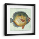 Pequeño Pescado De Mariposa I - Vision Studio | Cuadro decorativo de Canvas Lab