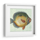 Pequeño Pescado De Mariposa I - Vision Studio | Cuadro decorativo de Canvas Lab