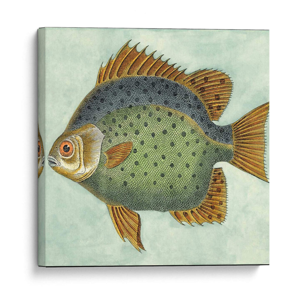 Pequeño Pescado De Mariposa Ii - Vision Studio | Cuadro decorativo de Canvas Lab