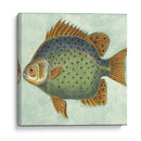 Pequeño Pescado De Mariposa Ii - Vision Studio | Cuadro decorativo de Canvas Lab