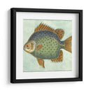 Pequeño Pescado De Mariposa Ii - Vision Studio | Cuadro decorativo de Canvas Lab