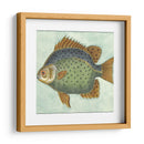 Pequeño Pescado De Mariposa Ii - Vision Studio | Cuadro decorativo de Canvas Lab