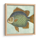 Pequeño Pescado De Mariposa Ii - Vision Studio | Cuadro decorativo de Canvas Lab