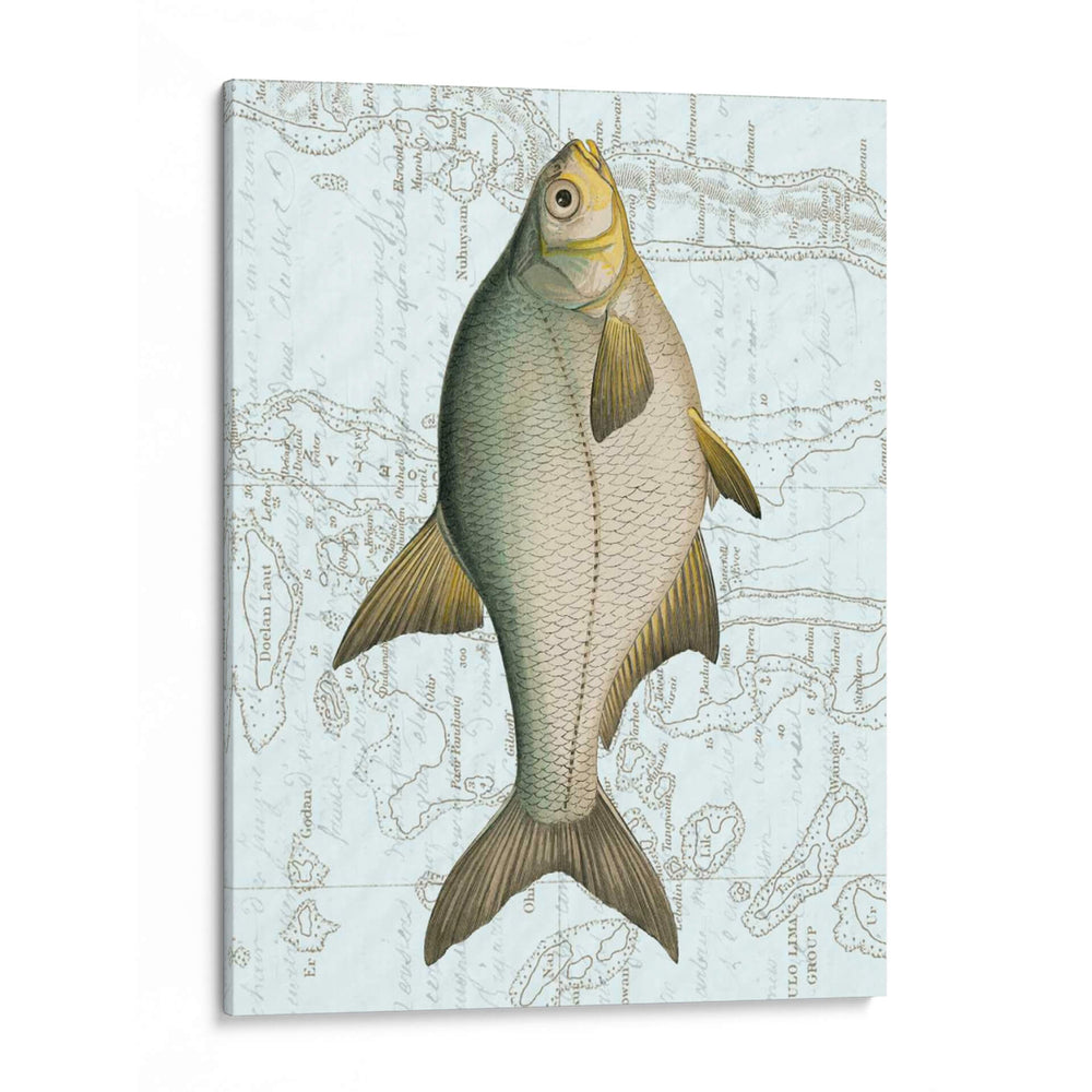 Agua Dulce Yo - Vision Studio | Cuadro decorativo de Canvas Lab