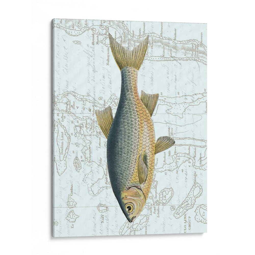 Agua Dulce Ii - Vision Studio | Cuadro decorativo de Canvas Lab