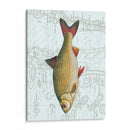 Freshwater Iv - Vision Studio | Cuadro decorativo de Canvas Lab
