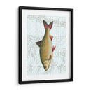 Freshwater Iv - Vision Studio | Cuadro decorativo de Canvas Lab