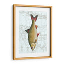 Freshwater Iv - Vision Studio | Cuadro decorativo de Canvas Lab