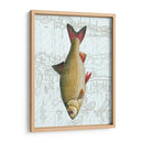 Freshwater Iv - Vision Studio | Cuadro decorativo de Canvas Lab