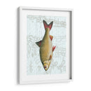 Freshwater Iv - Vision Studio | Cuadro decorativo de Canvas Lab