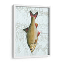 Freshwater Iv - Vision Studio | Cuadro decorativo de Canvas Lab