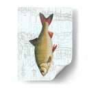 Freshwater Iv - Vision Studio | Cuadro decorativo de Canvas Lab