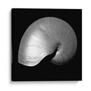 Nautilus Twin I - Noah Bay | Cuadro decorativo de Canvas Lab
