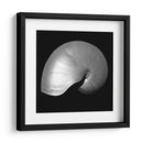 Nautilus Twin I - Noah Bay | Cuadro decorativo de Canvas Lab