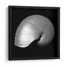 Nautilus Twin I - Noah Bay | Cuadro decorativo de Canvas Lab