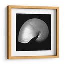 Nautilus Twin I - Noah Bay | Cuadro decorativo de Canvas Lab