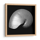 Nautilus Twin I - Noah Bay | Cuadro decorativo de Canvas Lab