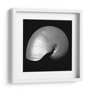 Nautilus Twin I - Noah Bay | Cuadro decorativo de Canvas Lab