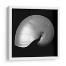 Nautilus Twin I - Noah Bay | Cuadro decorativo de Canvas Lab