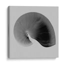 Nautilus Twin Ii - Noah Bay | Cuadro decorativo de Canvas Lab