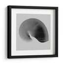Nautilus Twin Ii - Noah Bay | Cuadro decorativo de Canvas Lab