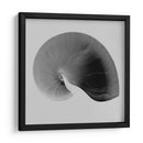 Nautilus Twin Ii - Noah Bay | Cuadro decorativo de Canvas Lab