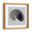 Nautilus Twin Ii - Noah Bay | Cuadro decorativo de Canvas Lab