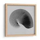 Nautilus Twin Ii - Noah Bay | Cuadro decorativo de Canvas Lab