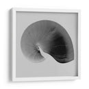 Nautilus Twin Ii - Noah Bay | Cuadro decorativo de Canvas Lab