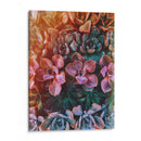 Domingo de suculentas | Cuadro decorativo de Canvas Lab