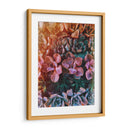 Domingo de suculentas | Cuadro decorativo de Canvas Lab