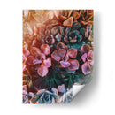 Domingo de suculentas | Cuadro decorativo de Canvas Lab