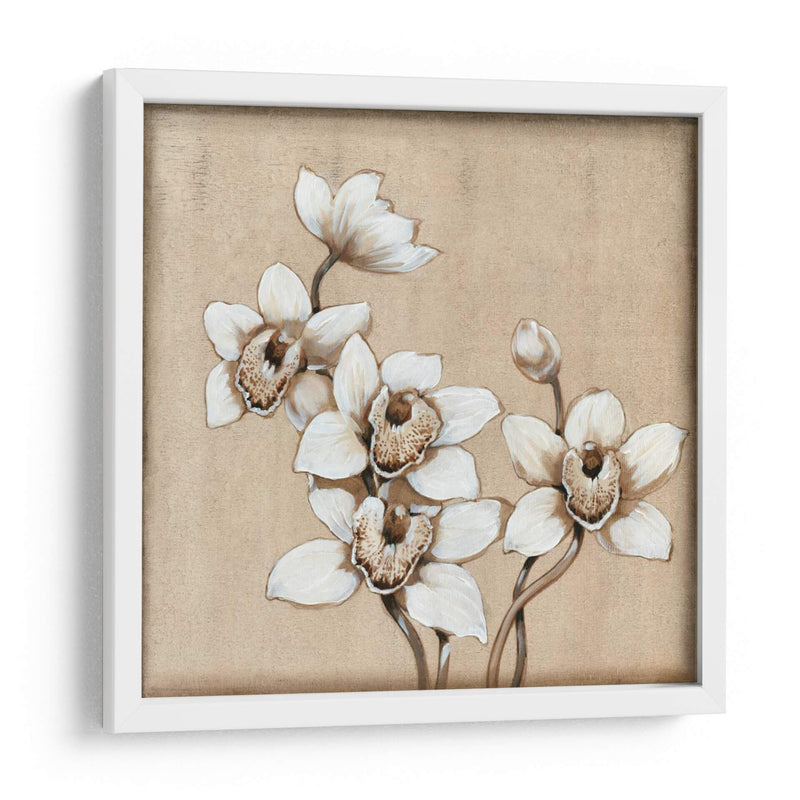 Orquídea Blanca I - Tim OToole | Cuadro decorativo de Canvas Lab