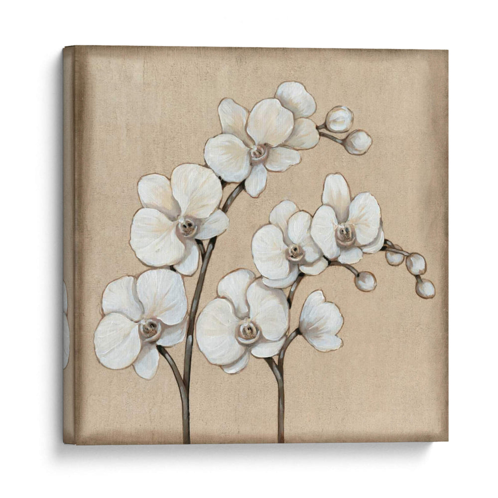 Orquídea Blanca Ii - Tim OToole | Cuadro decorativo de Canvas Lab
