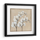 Orquídea Blanca Ii - Tim OToole | Cuadro decorativo de Canvas Lab
