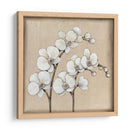 Orquídea Blanca Ii - Tim OToole | Cuadro decorativo de Canvas Lab