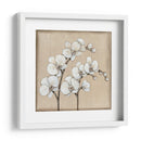 Orquídea Blanca Ii - Tim OToole | Cuadro decorativo de Canvas Lab