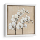 Orquídea Blanca Ii - Tim OToole | Cuadro decorativo de Canvas Lab