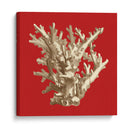 Coral En Rojo I - Vision Studio | Cuadro decorativo de Canvas Lab