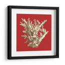 Coral En Rojo I - Vision Studio | Cuadro decorativo de Canvas Lab