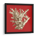 Coral En Rojo I - Vision Studio | Cuadro decorativo de Canvas Lab