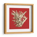 Coral En Rojo I - Vision Studio | Cuadro decorativo de Canvas Lab