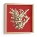 Coral En Rojo I - Vision Studio | Cuadro decorativo de Canvas Lab